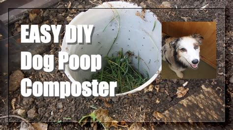 Pet Poop Composting .